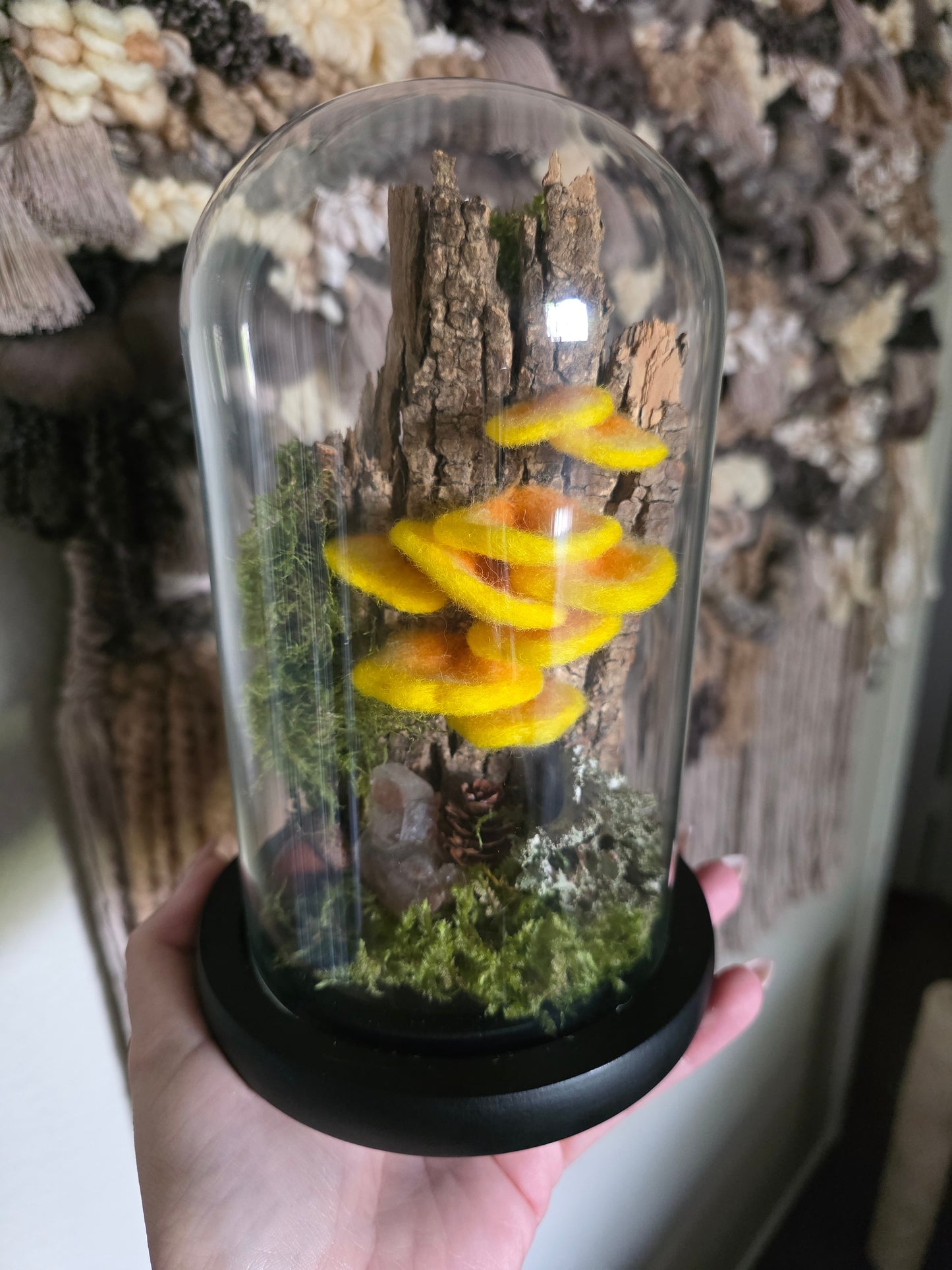 Chicken of the Woods - large