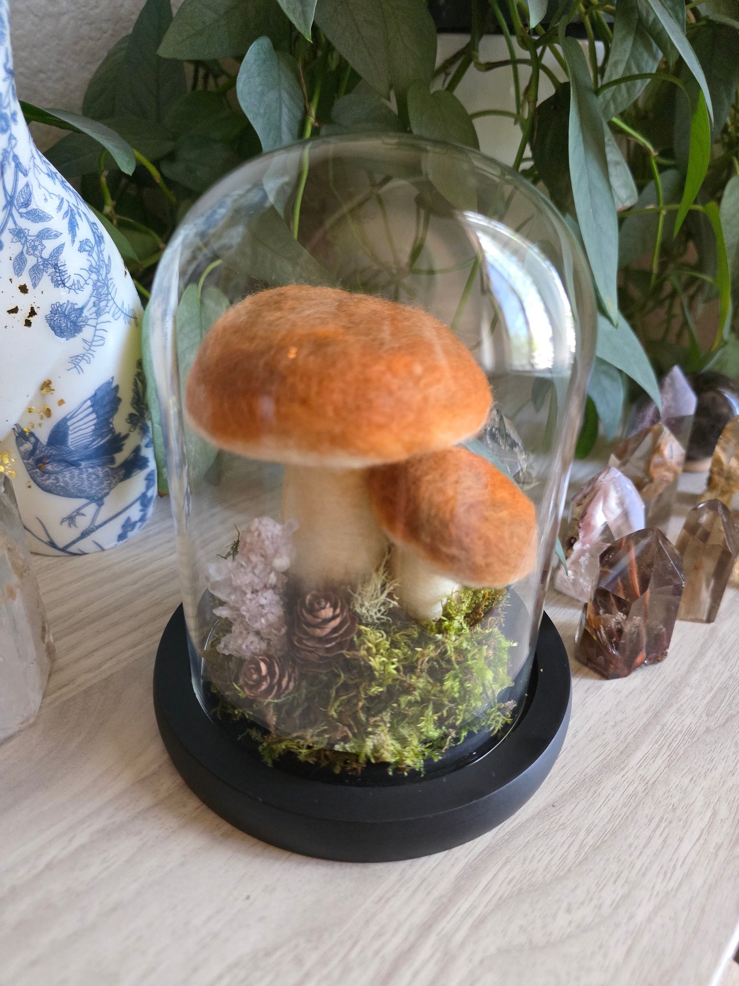 Bolete - large