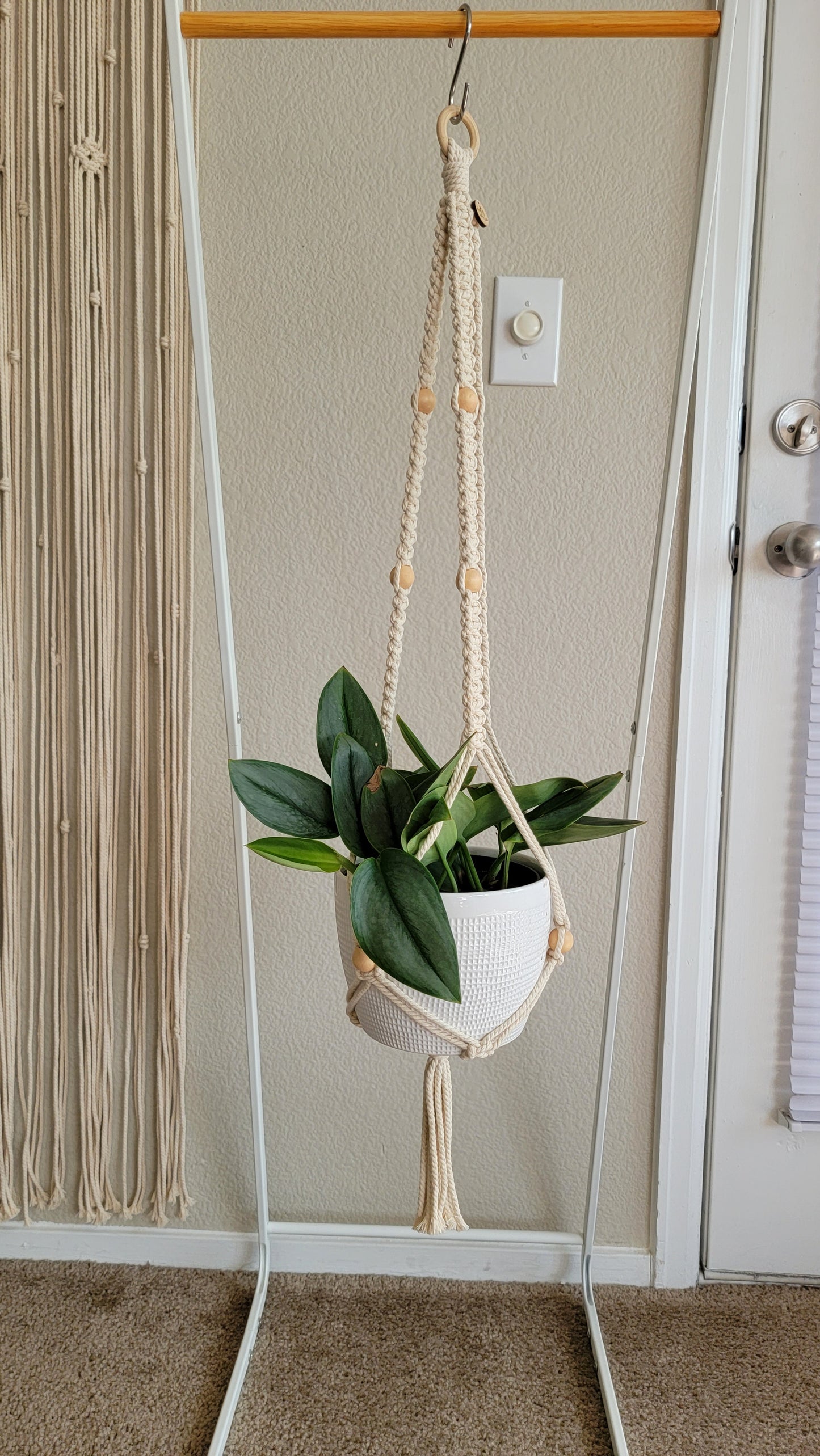 Plant Hangers