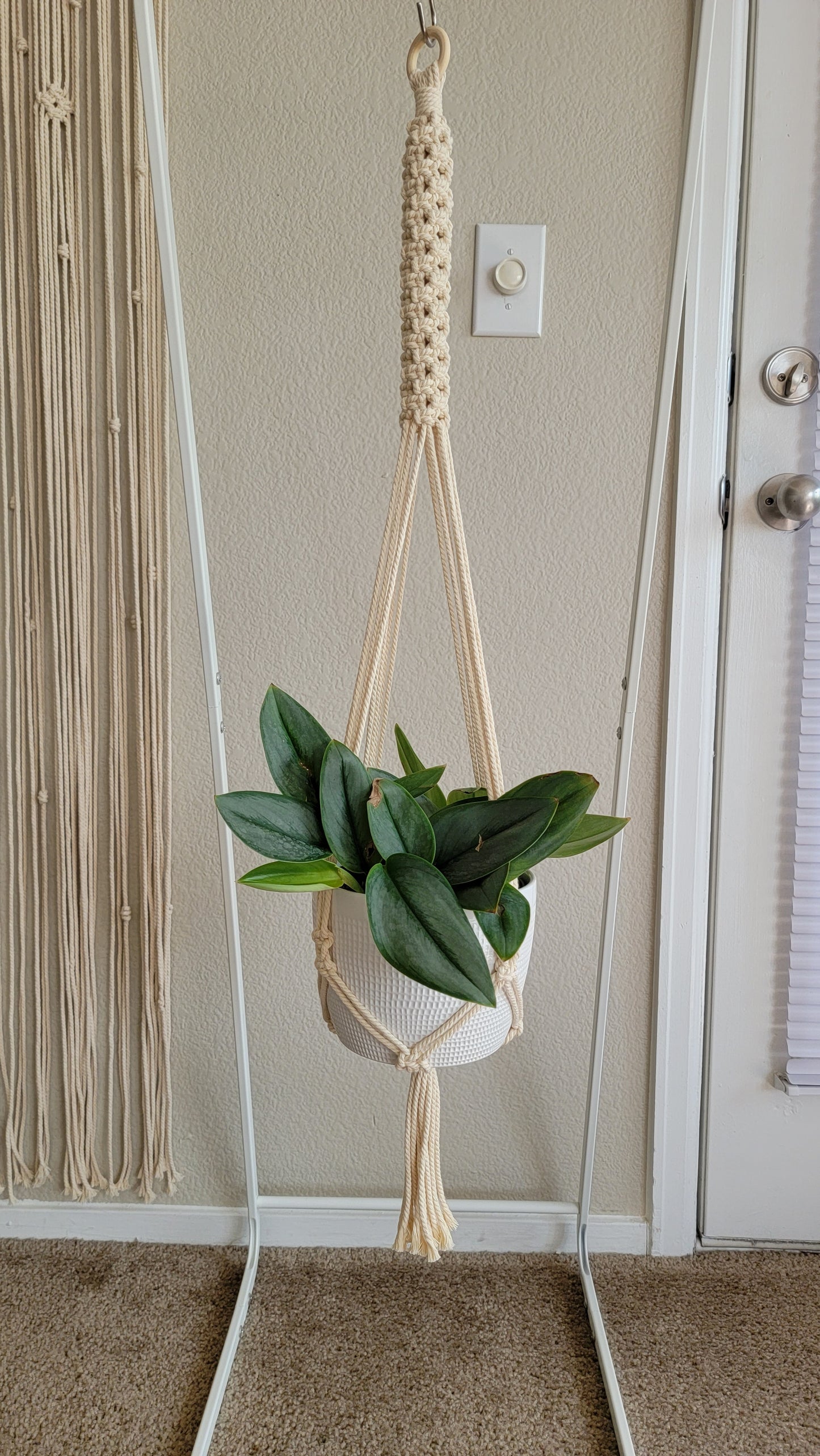 Plant Hangers