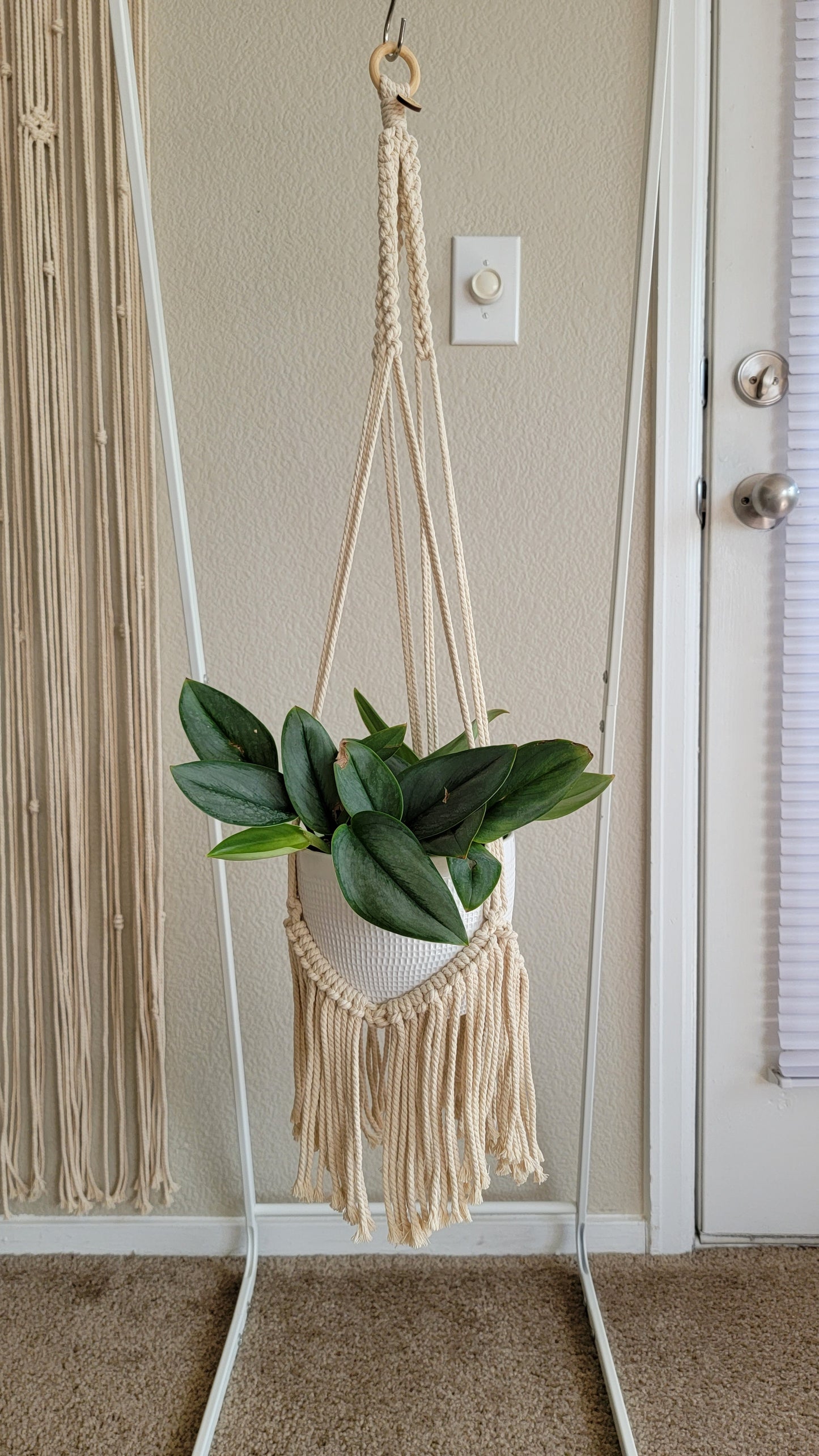 Plant Hangers