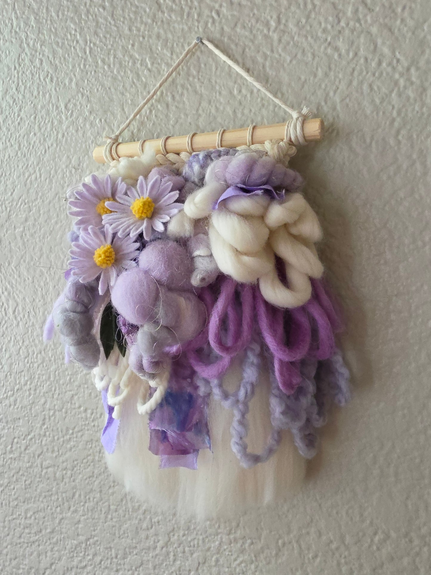 Aster - mini