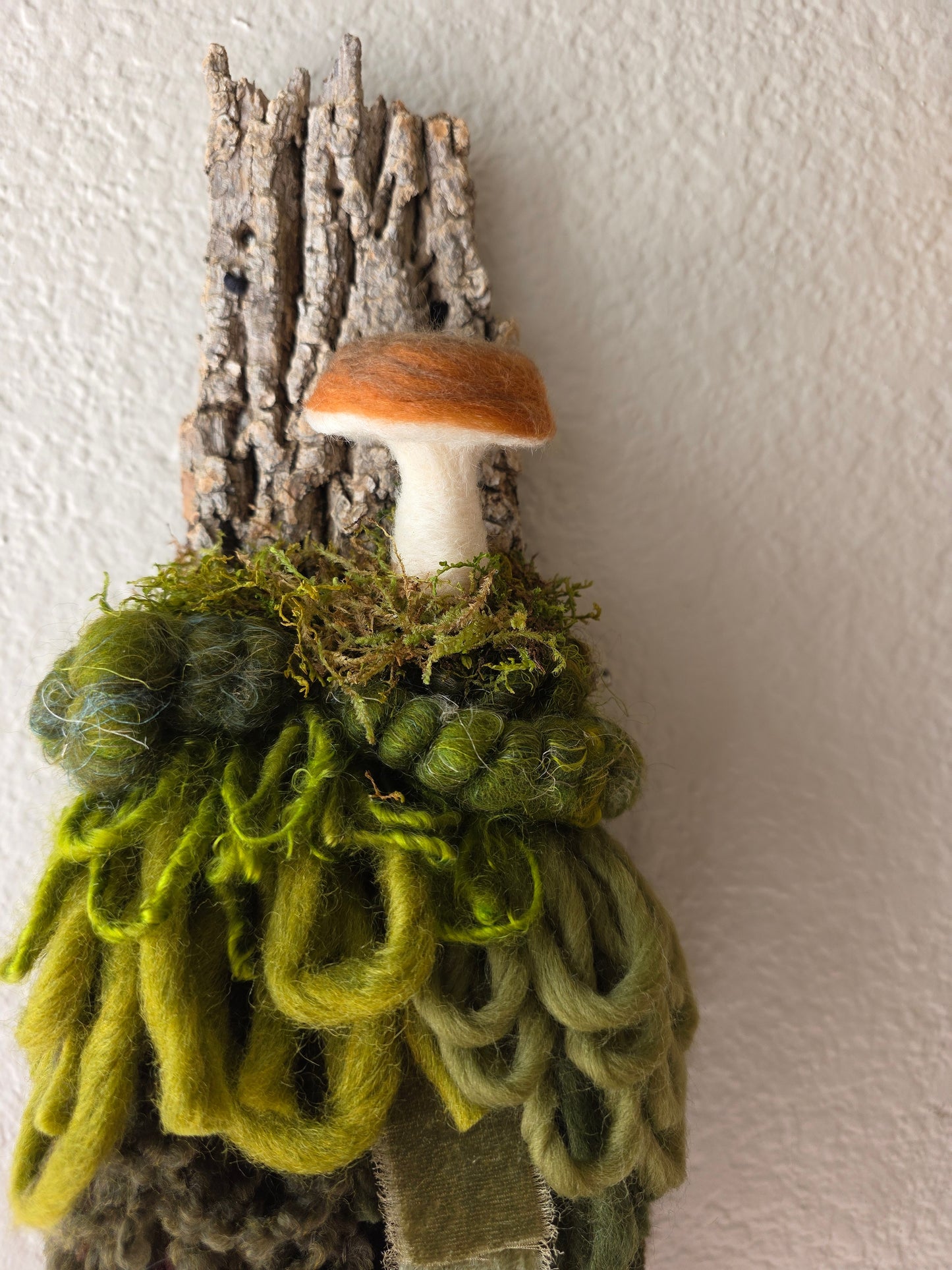 Bolete