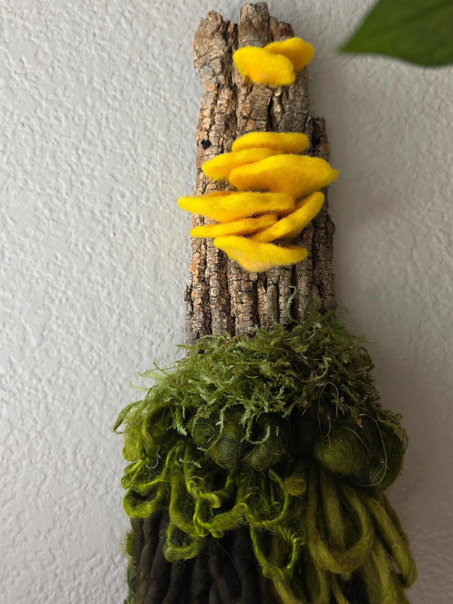 Chicken of the Woods 2
