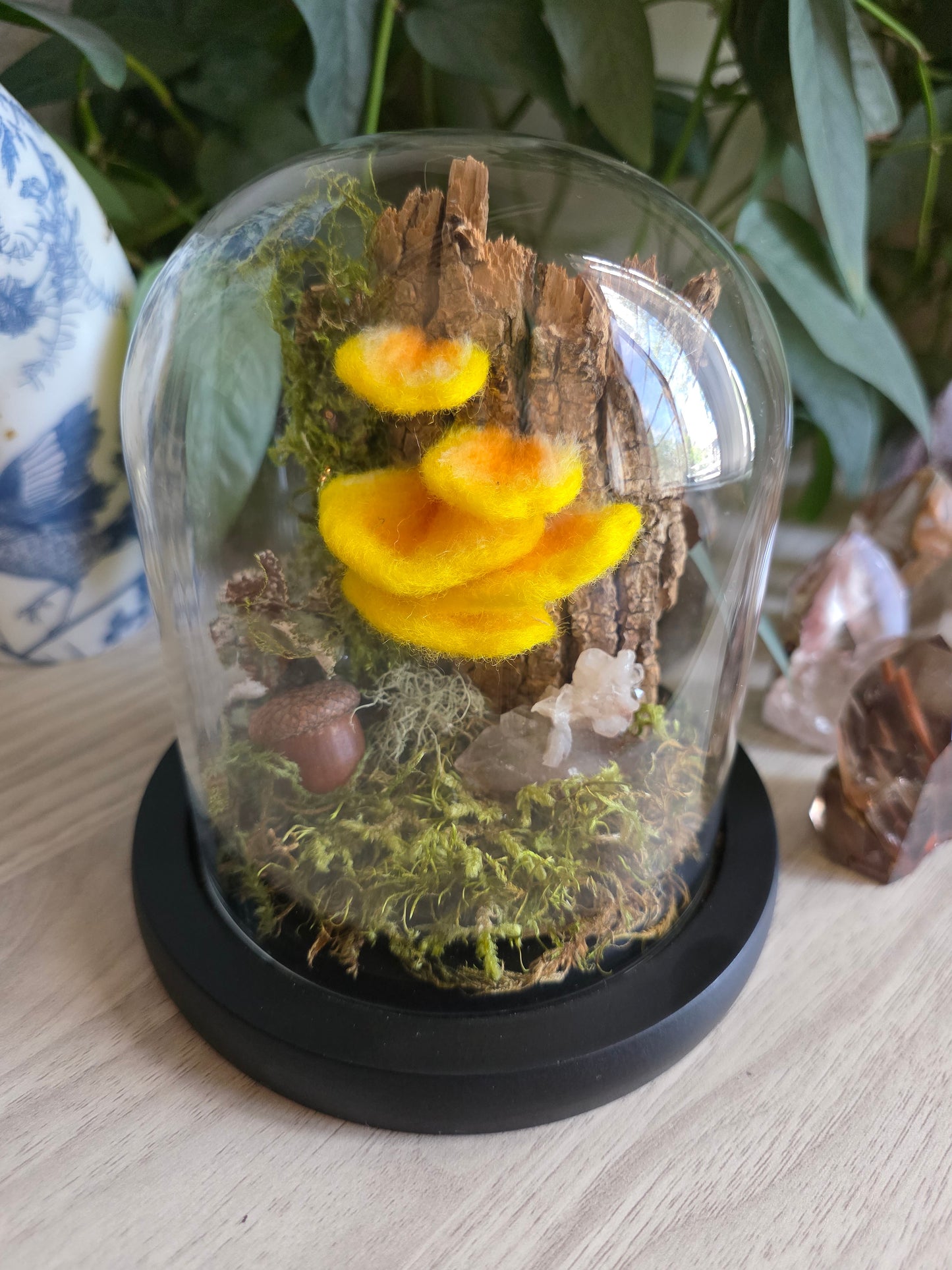 Chicken of the Woods - Small