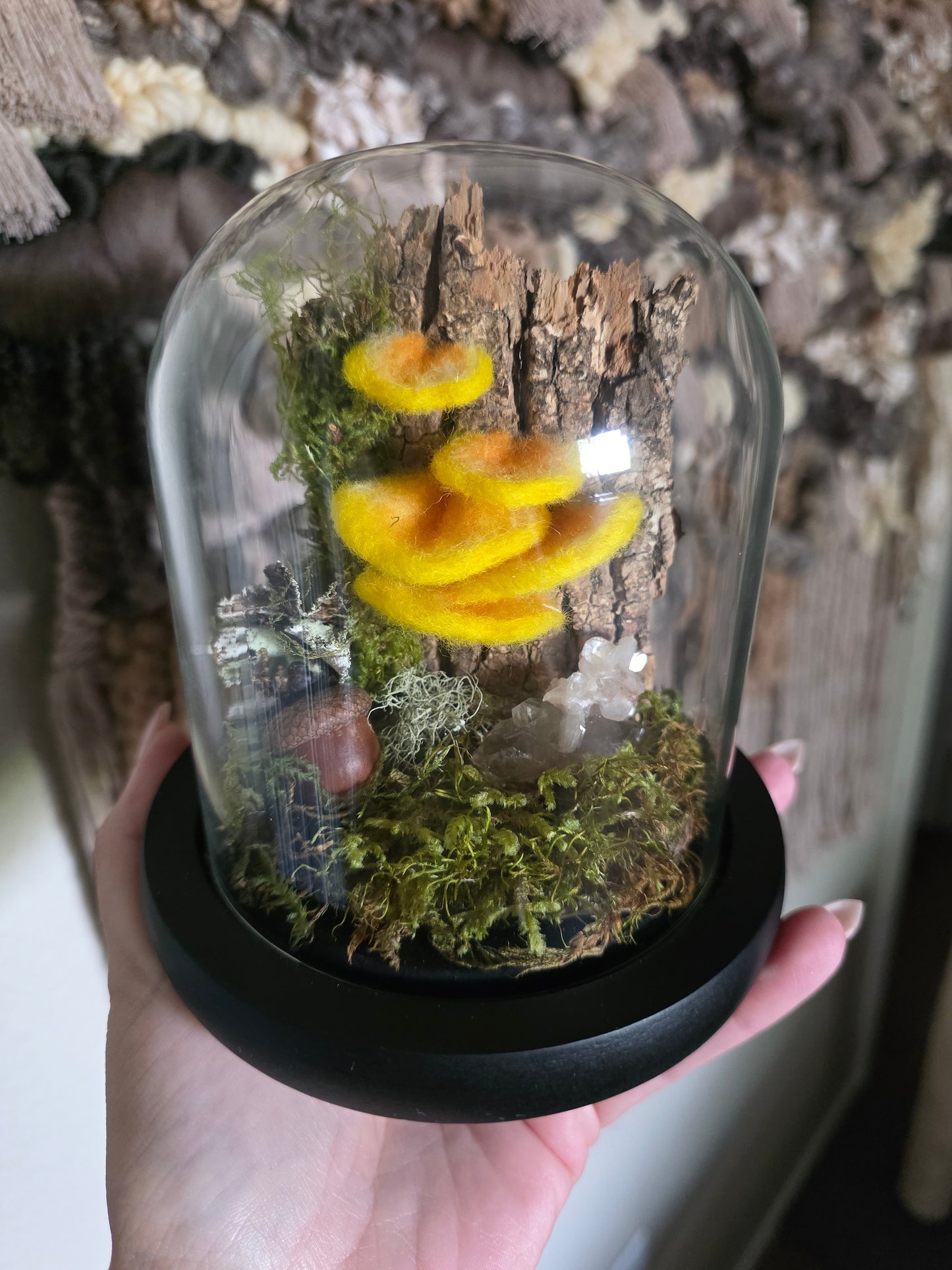 Chicken of the Woods - Small