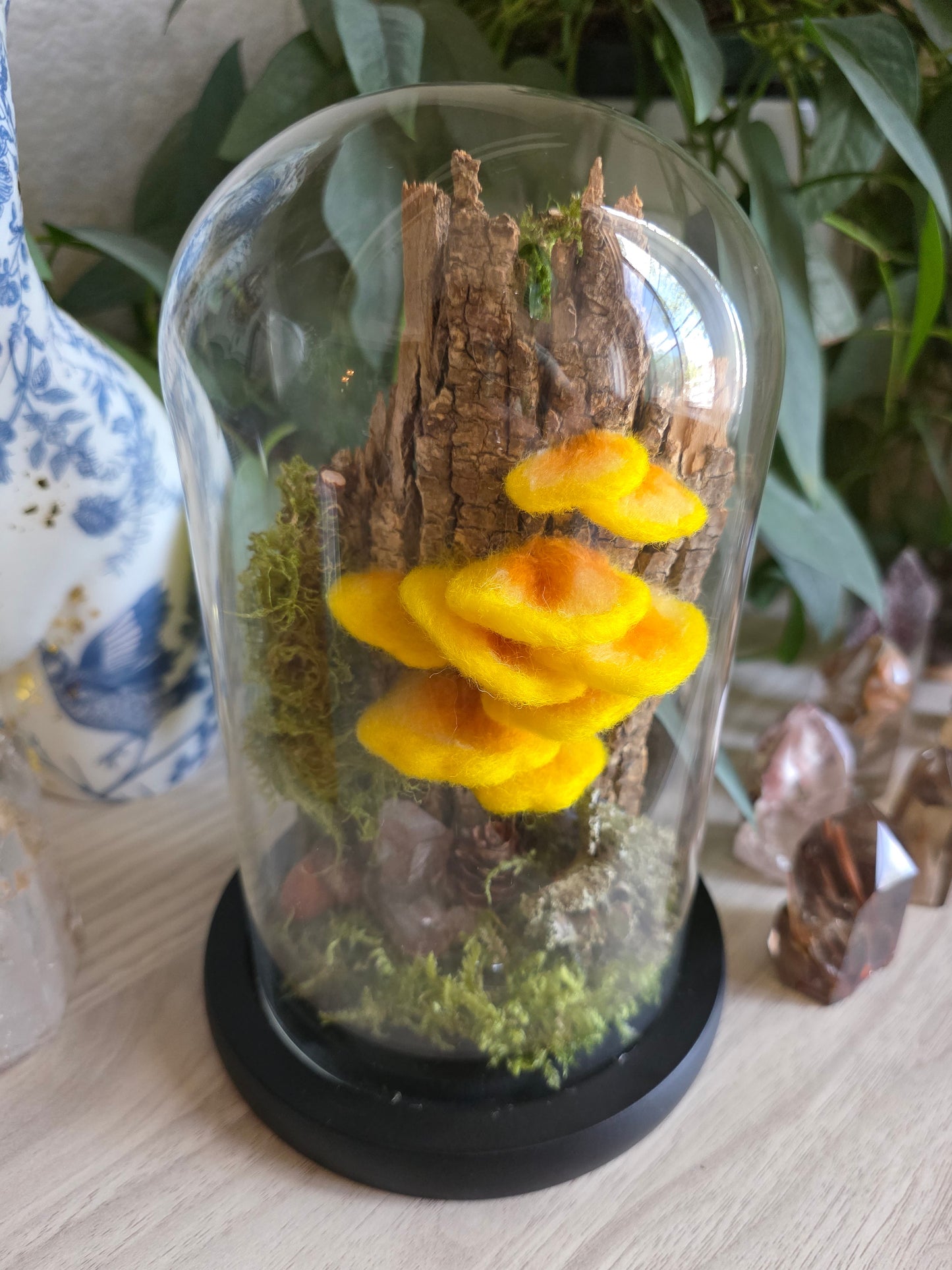 Chicken of the Woods - large