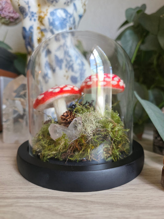 Amanita - small