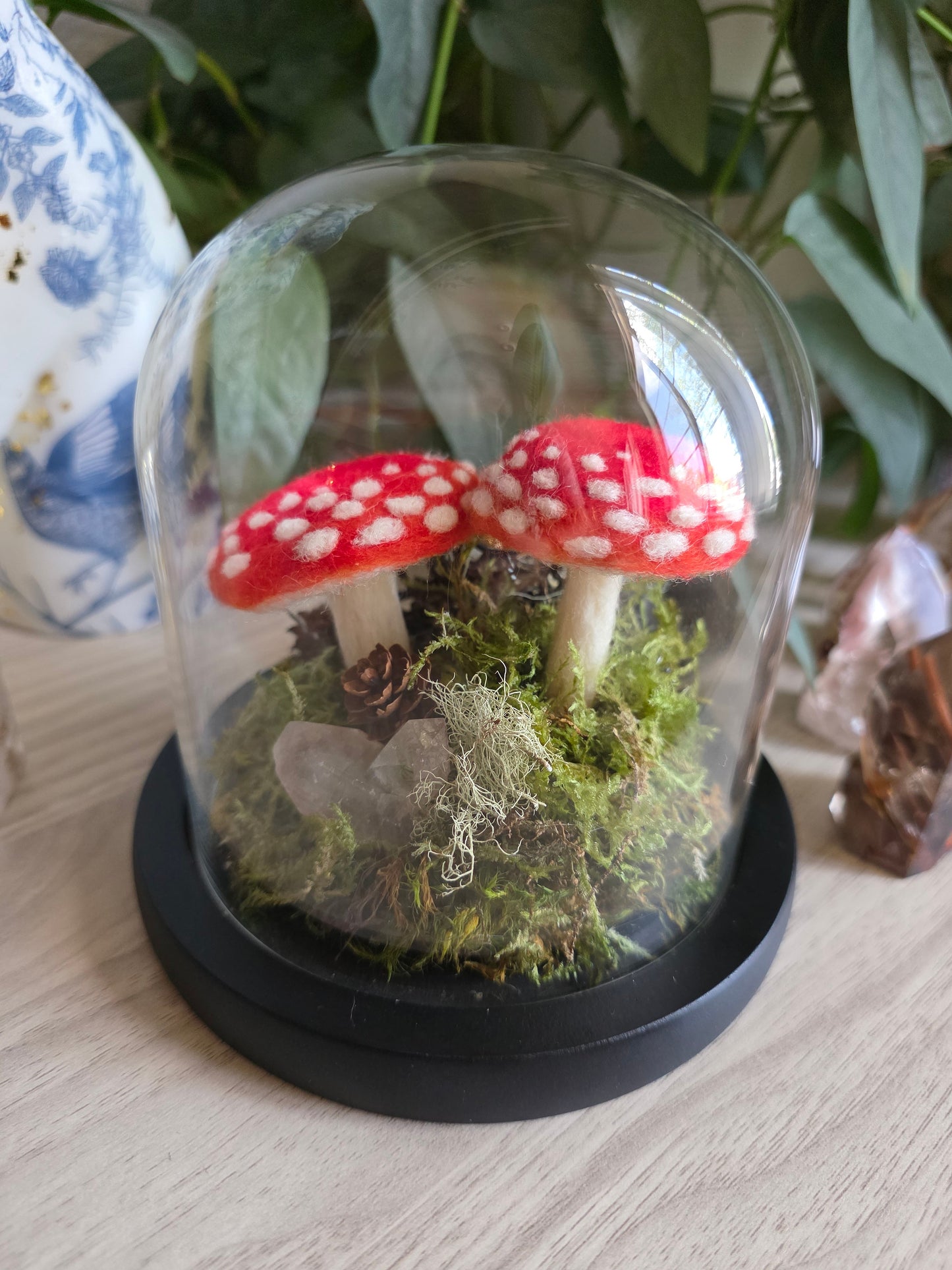 Amanita - small