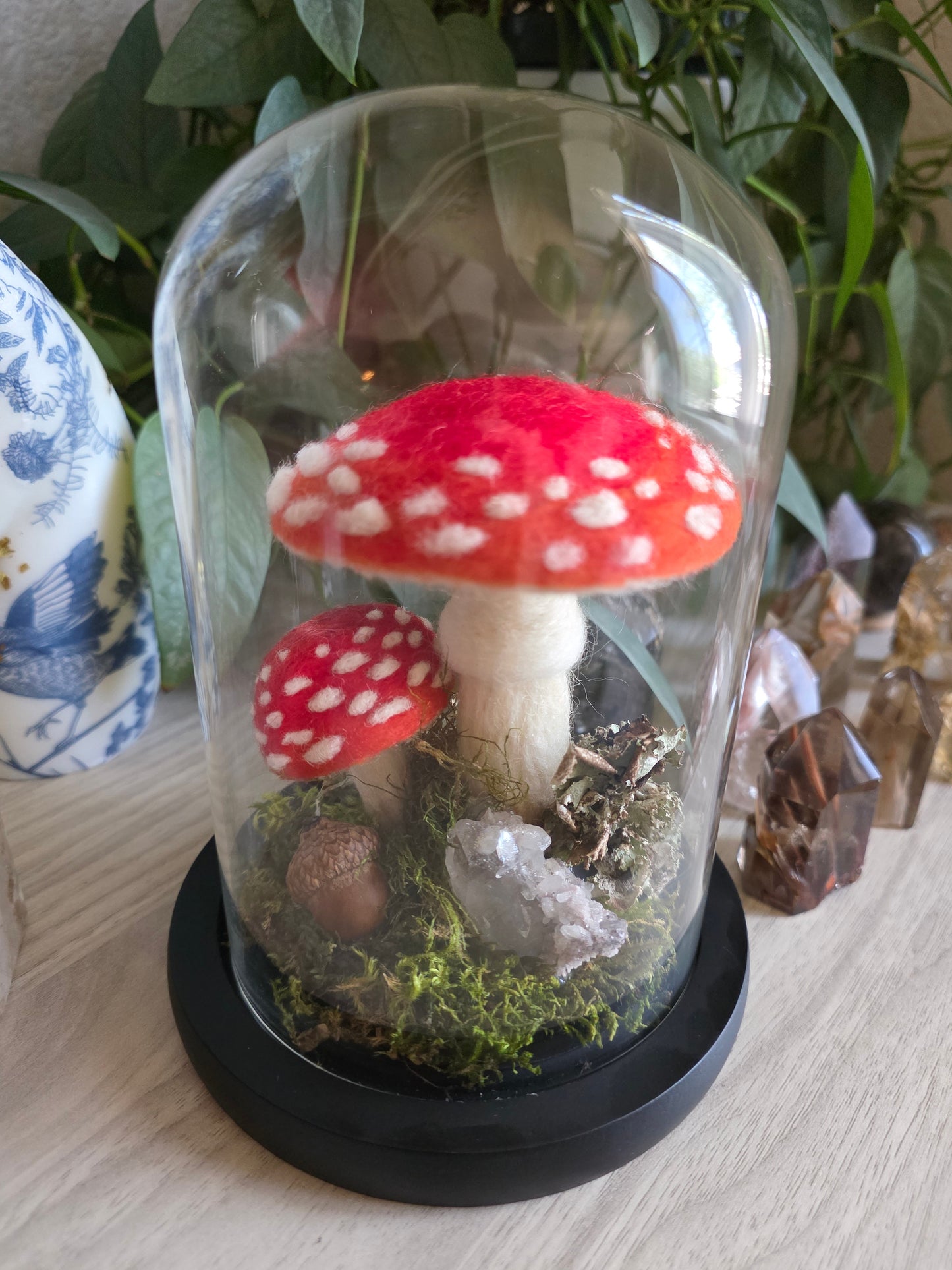 Amanita - large