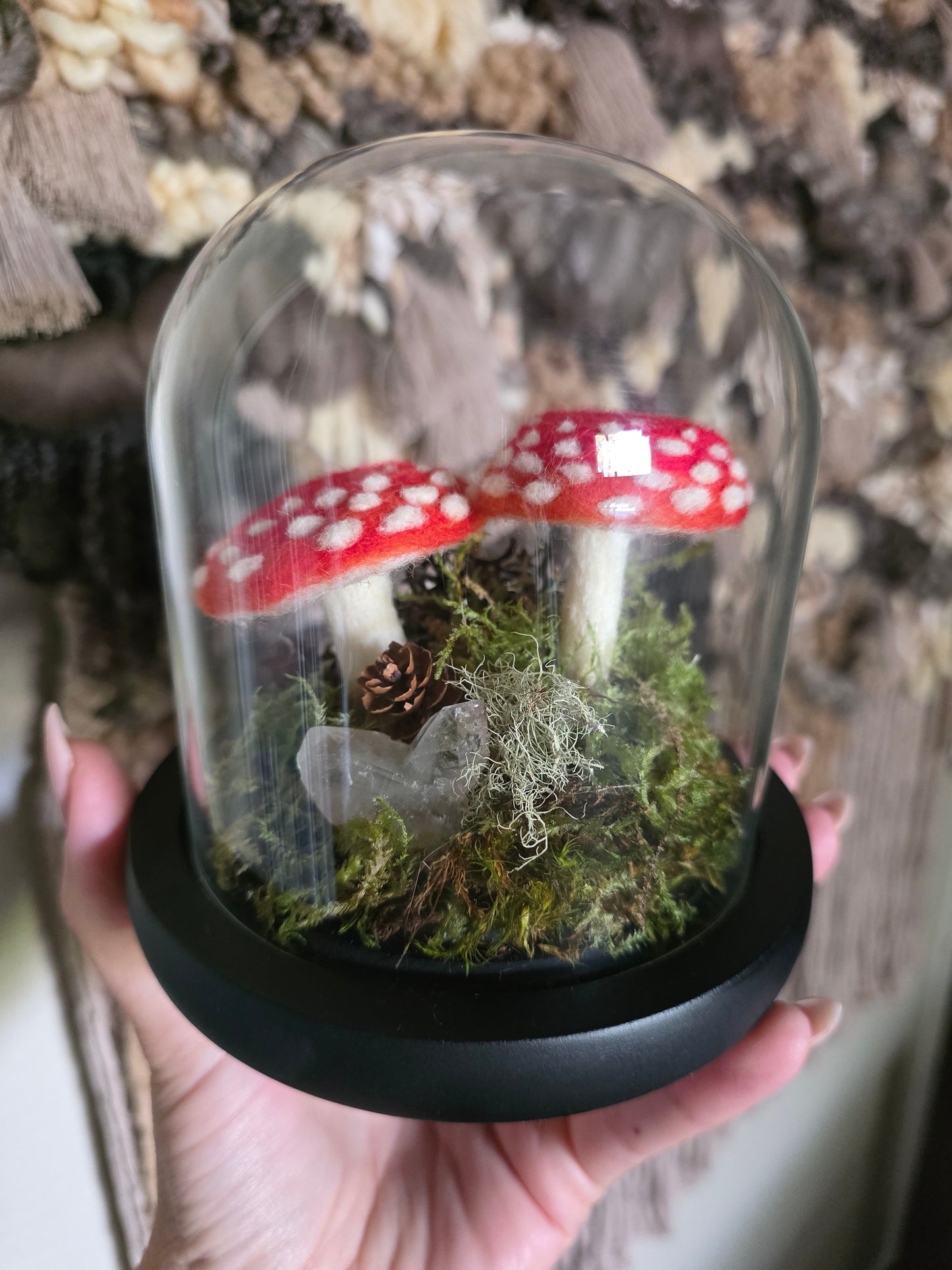 Amanita - small