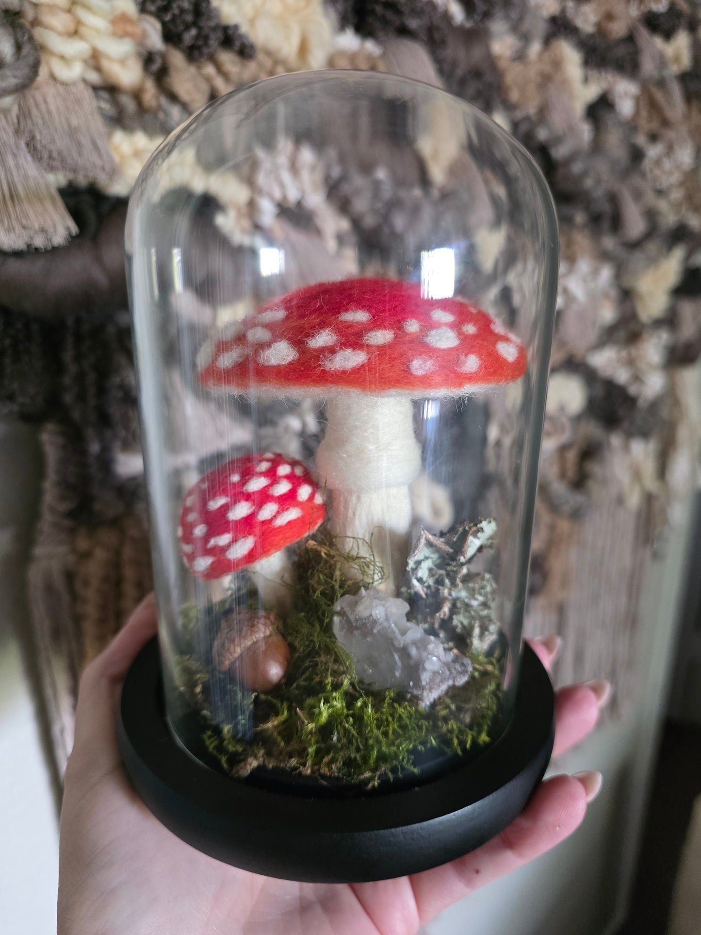Amanita - large