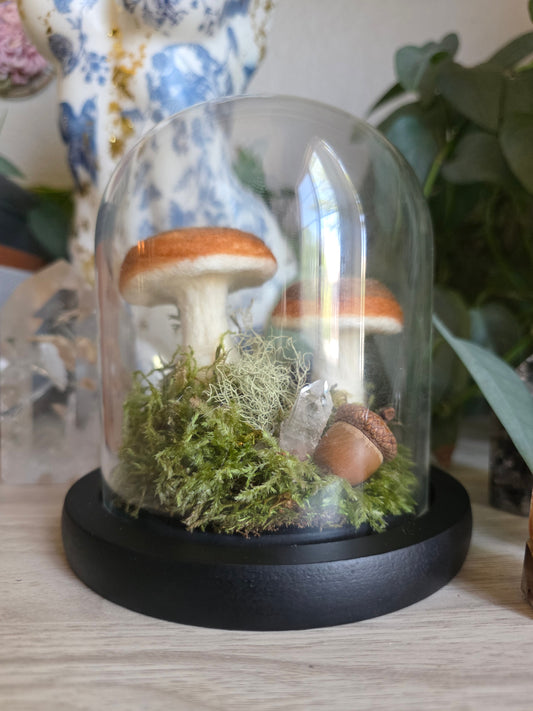 Bolete - small