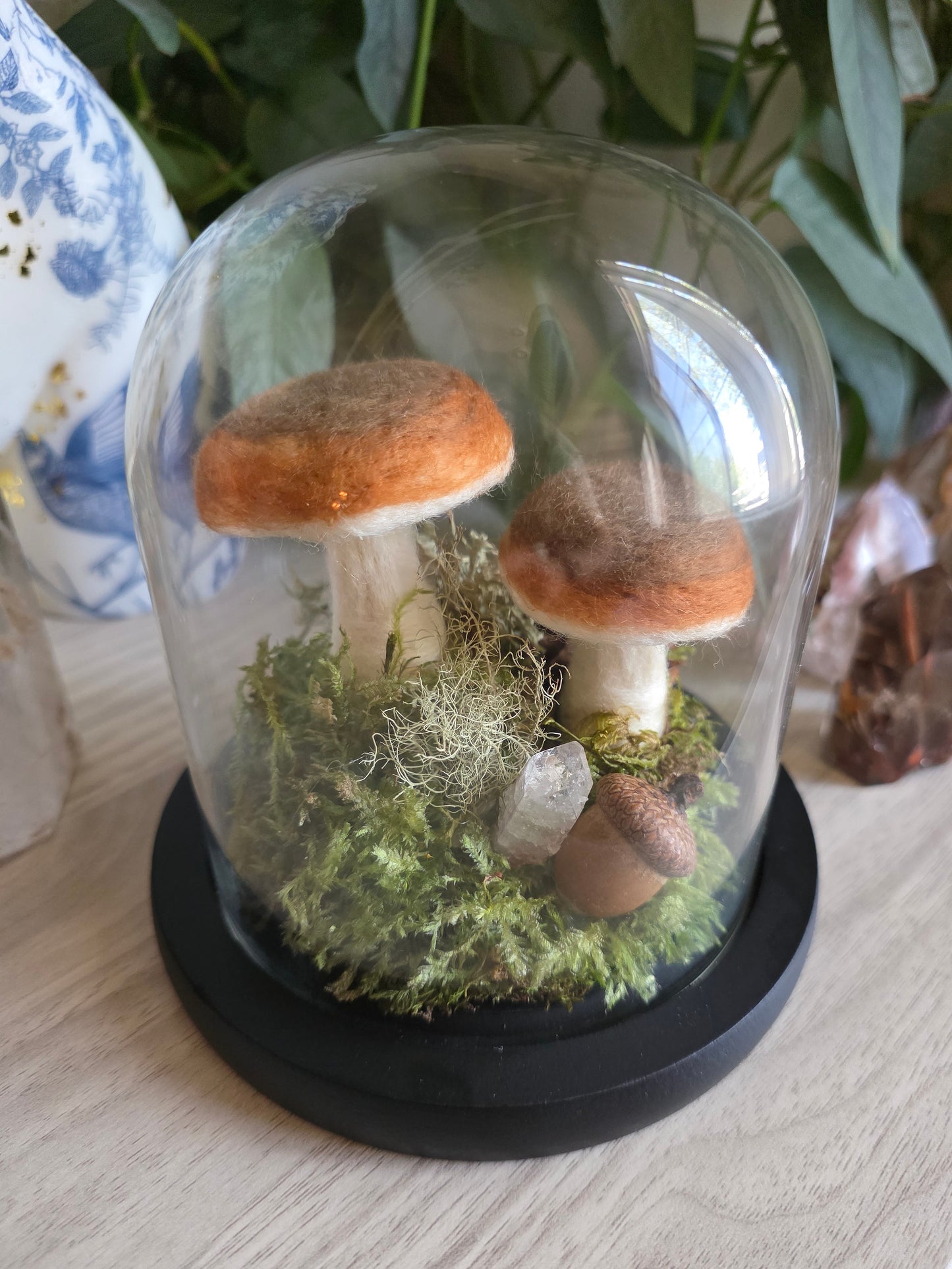 Bolete - small