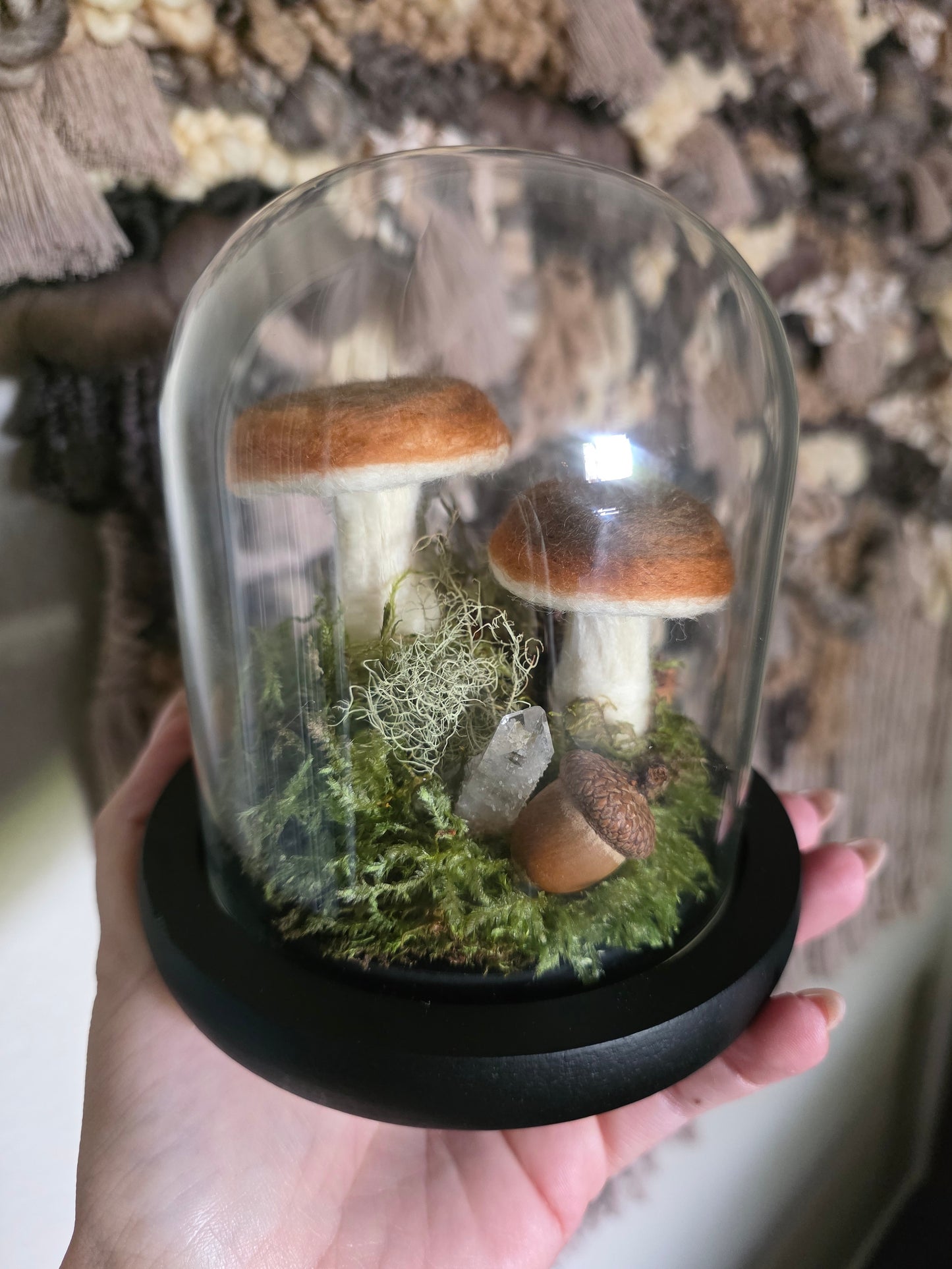 Bolete - small