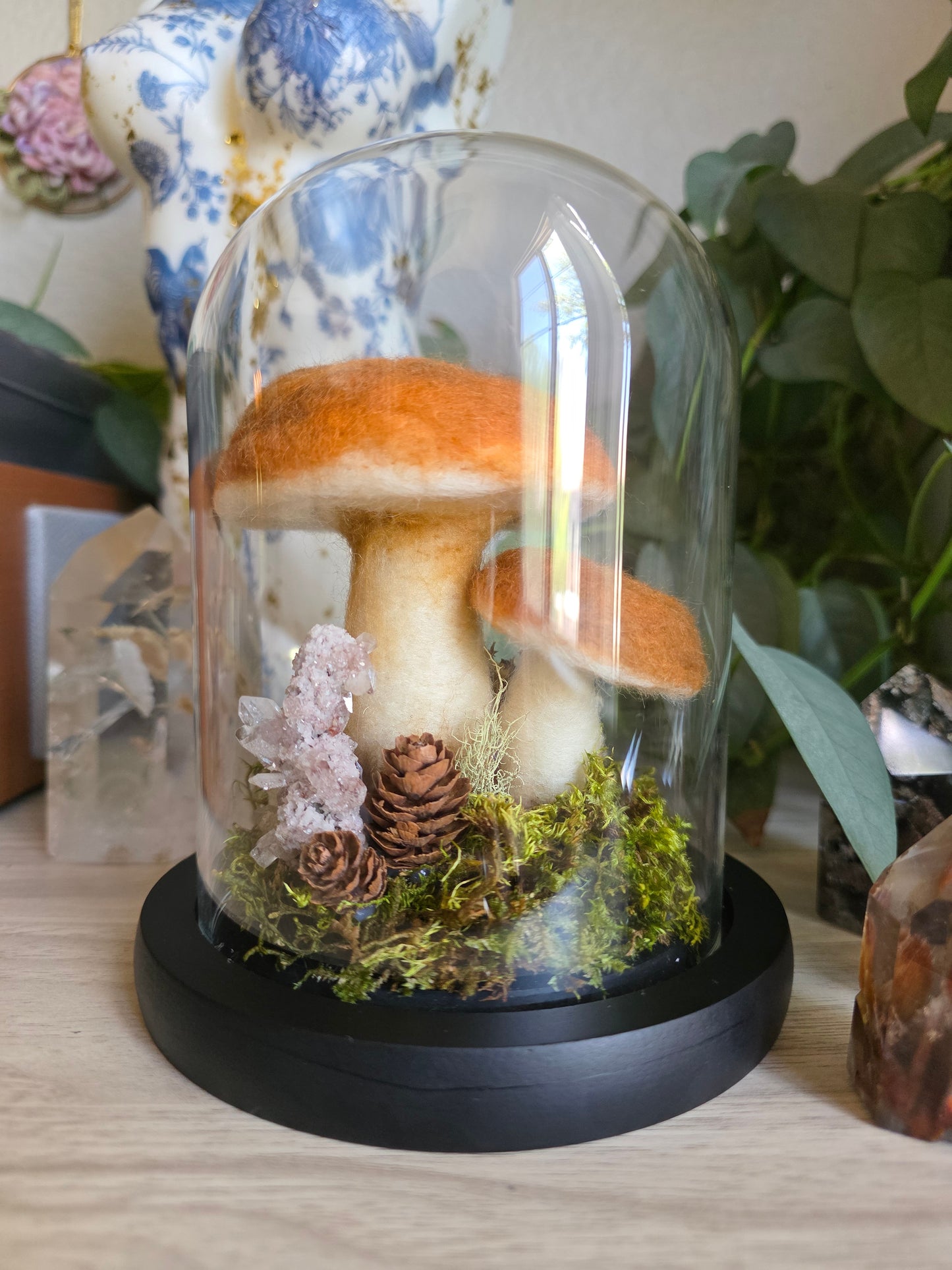Bolete - large