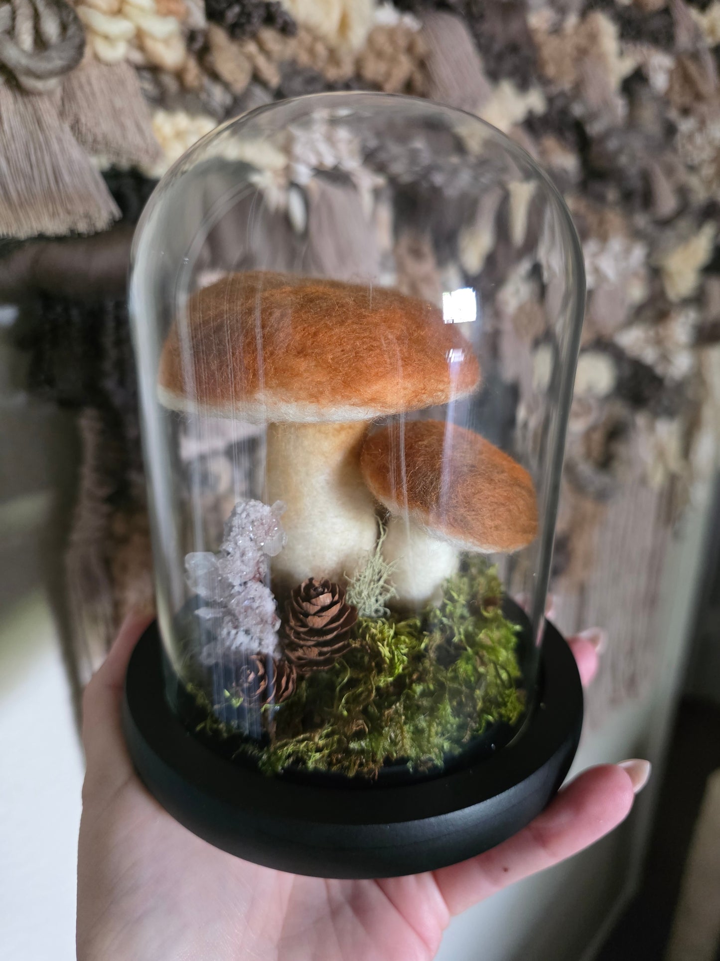Bolete - large