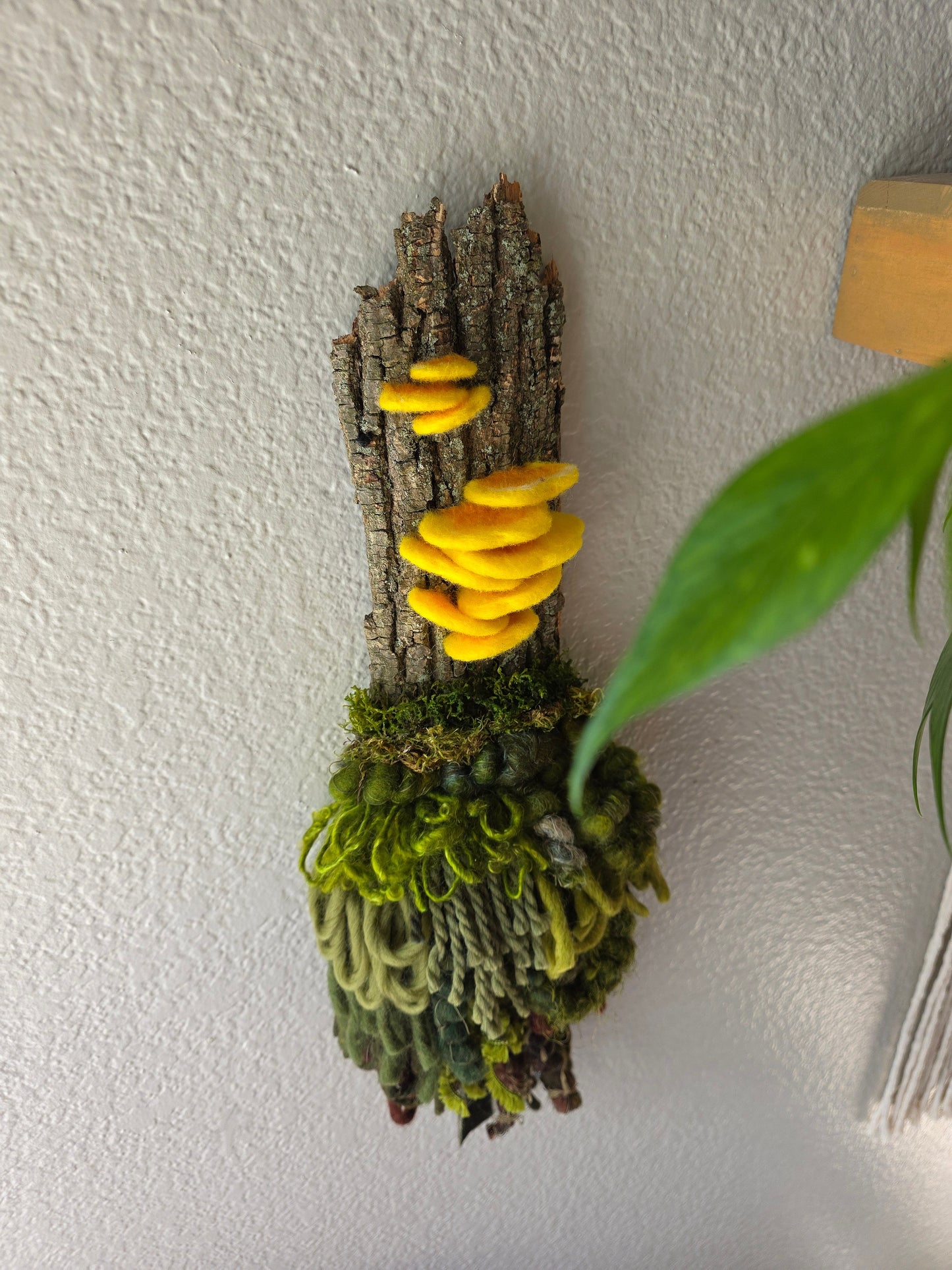 Chicken of the Woods 2