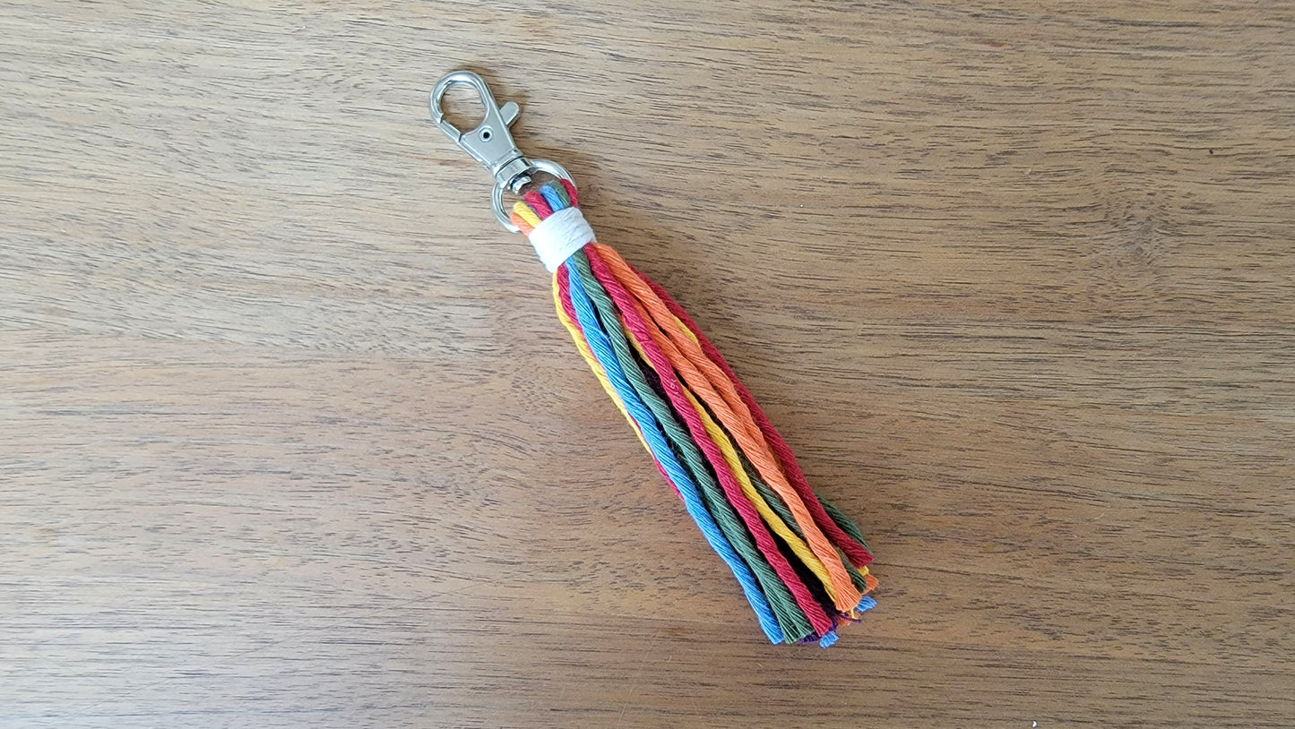 Pride Tassel Clips