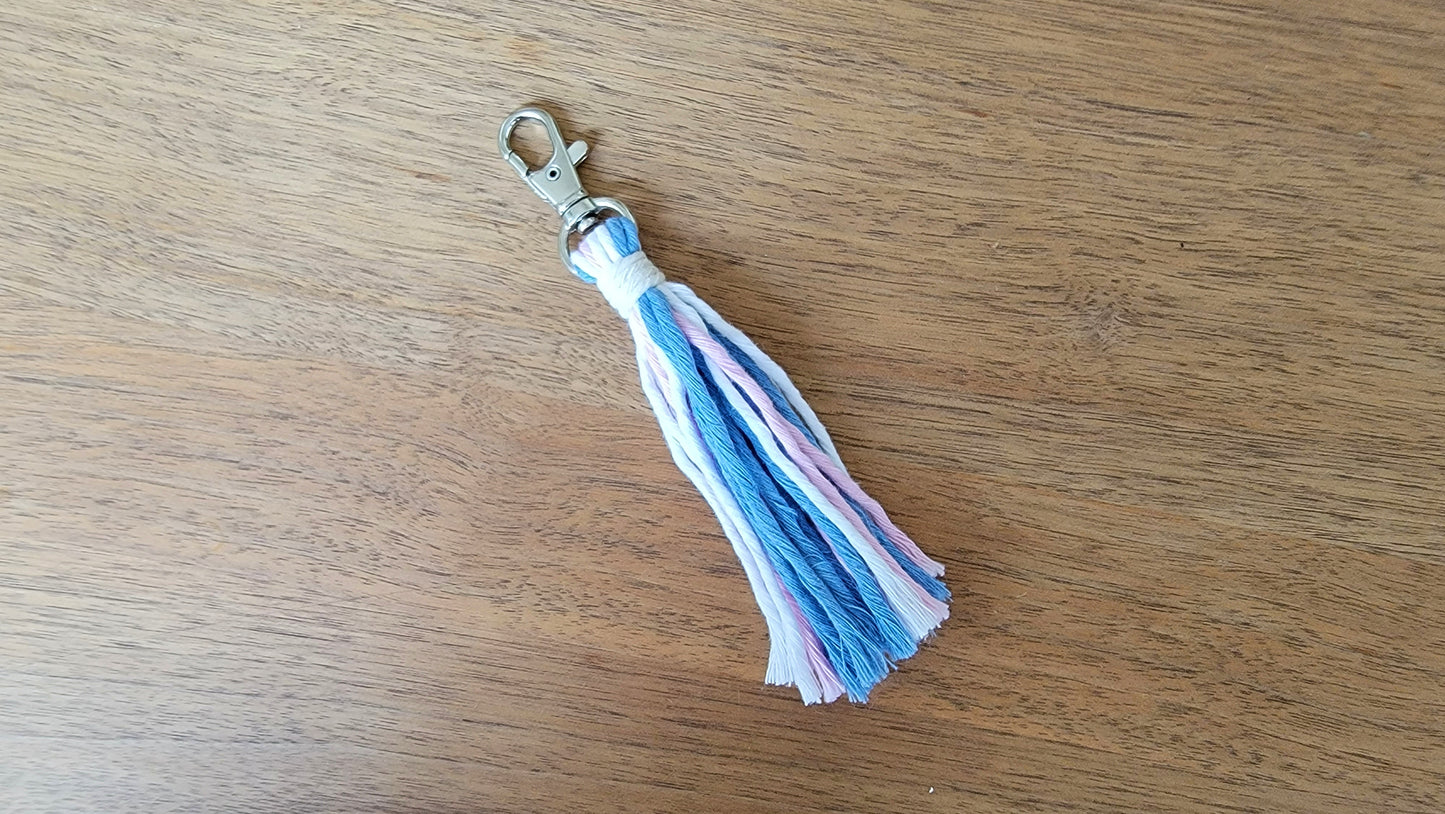 Pride Tassel Clips